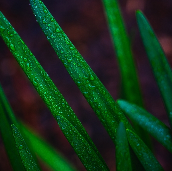 Meet your Posher, Lucy - Picture 2 of 2